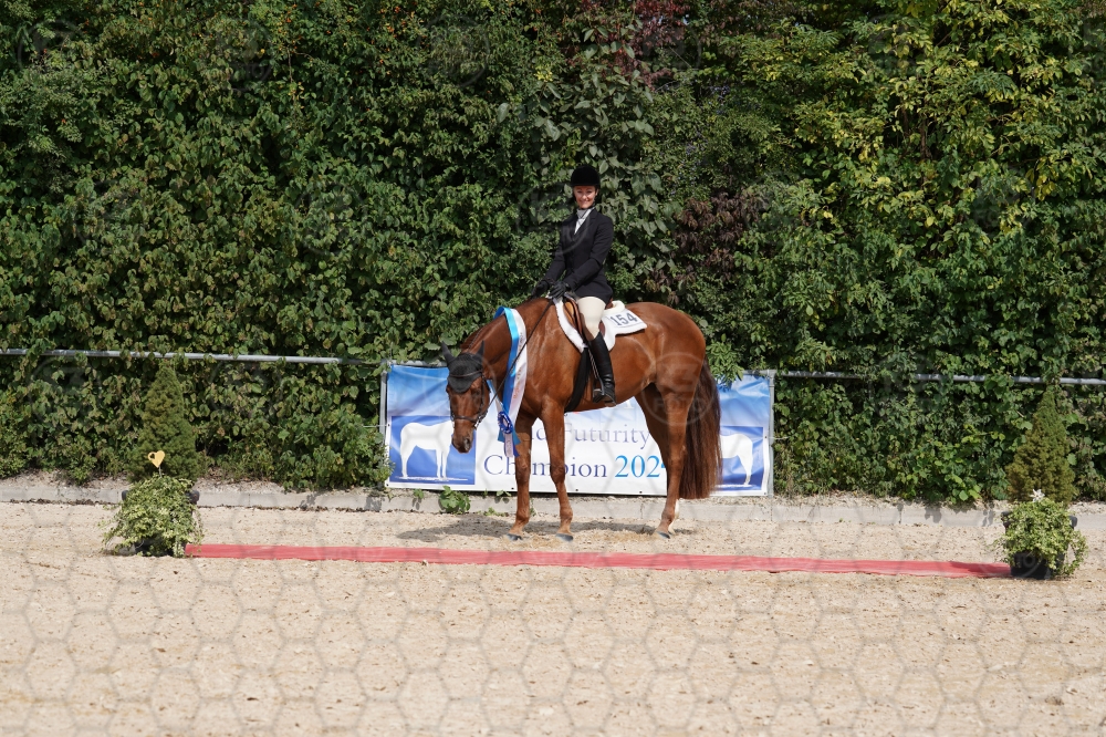 s_A9_09863.jpg